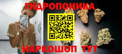 2c-b Будённовск