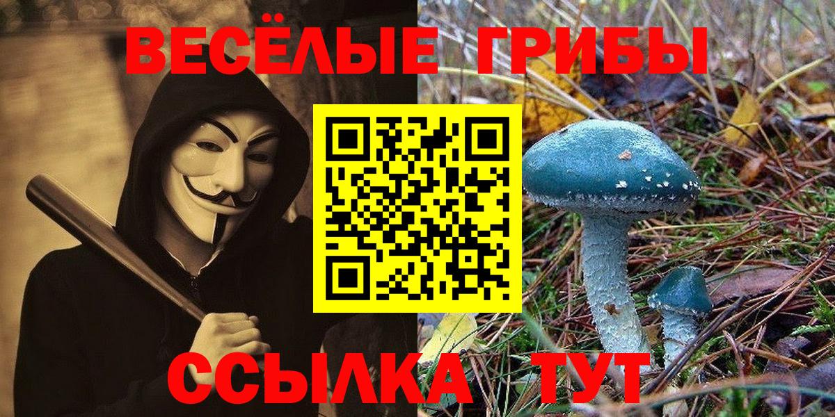 Старая Купавна  Псилоцибиновые грибы прущие грибы  Вход с VPN 